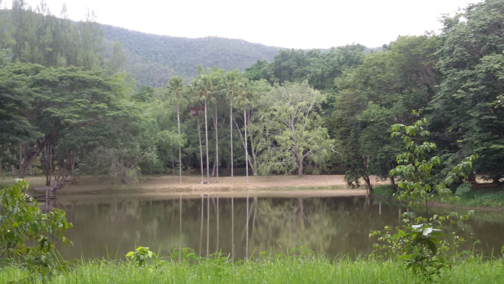 Sippa Hotspring 6/50