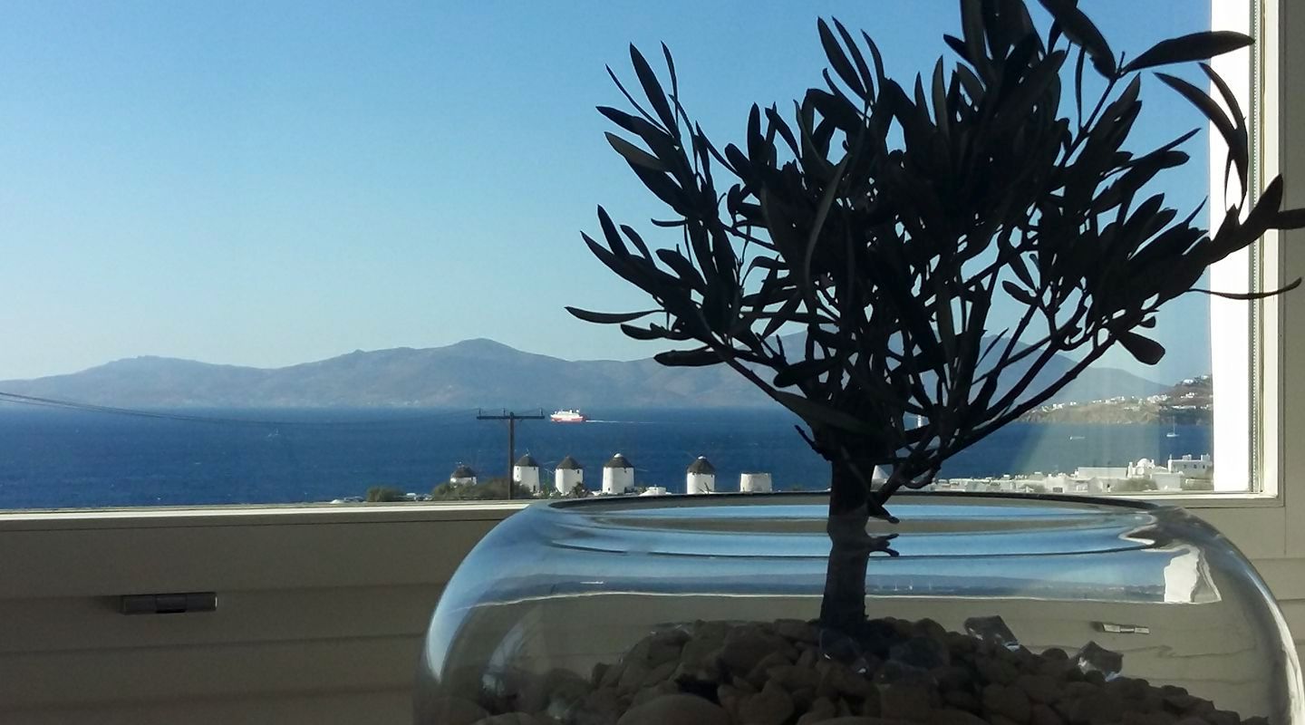 Ilio Maris Hotel 19/30