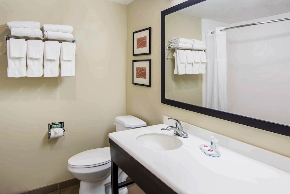 Comfort Inn Atlanta Downtown South 5/34