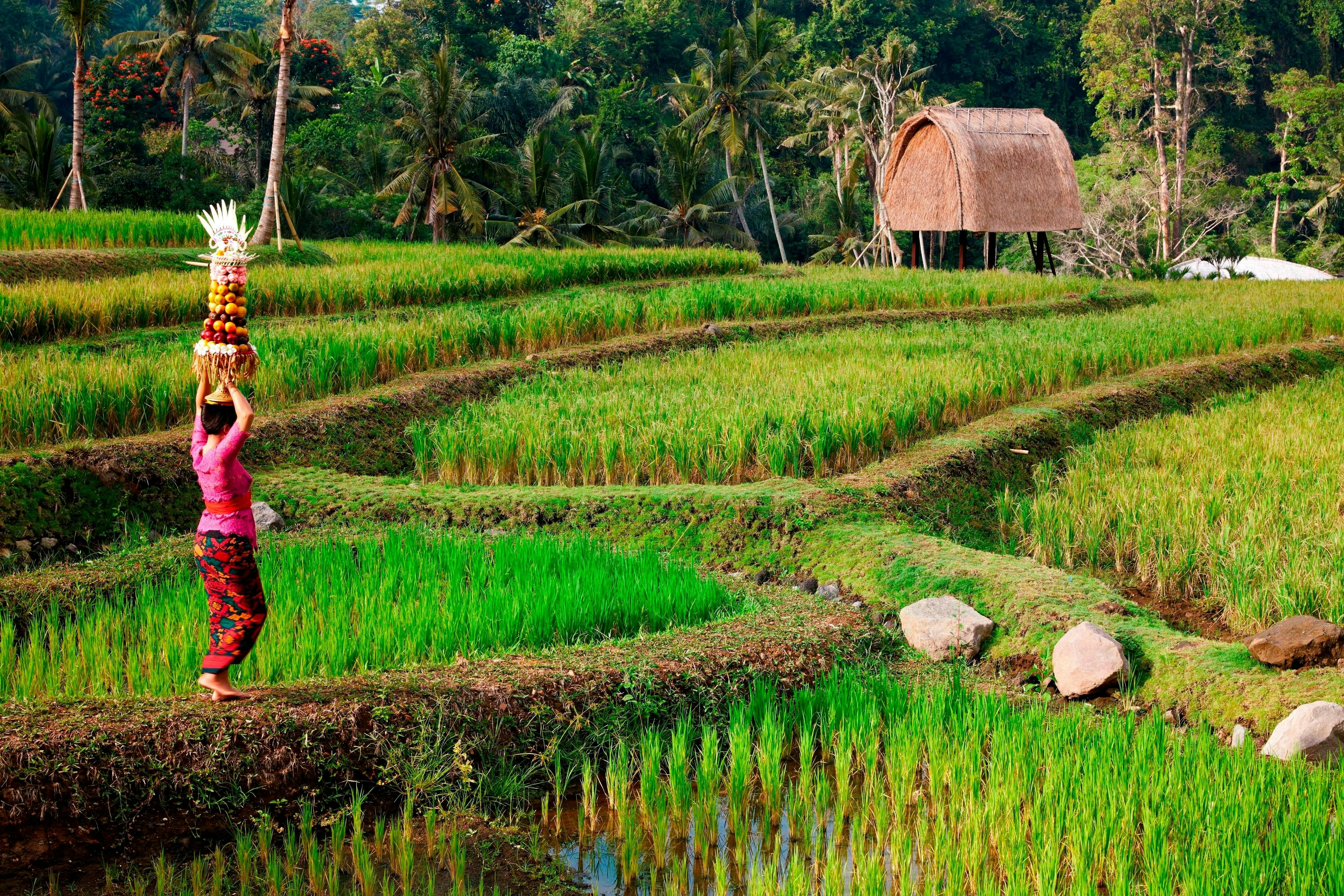 Mandapa A Ritz Carlton Reserve 44/58