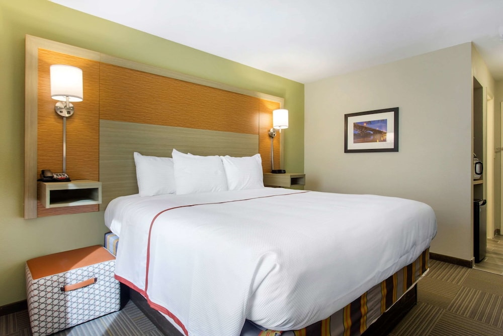 Gallus Stadium Park Inn, an Ascend Collection Hotel 19/33