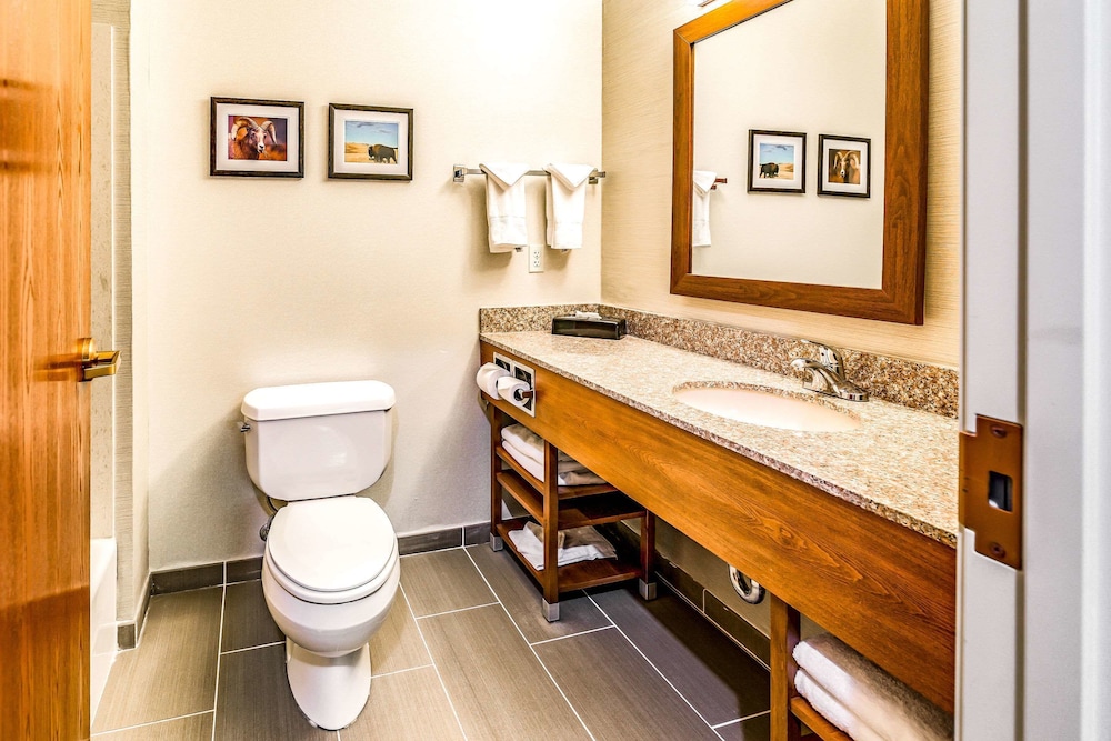 Comfort Inn & Suites Rapid City South - Mt Rushmore Gateway 65/66