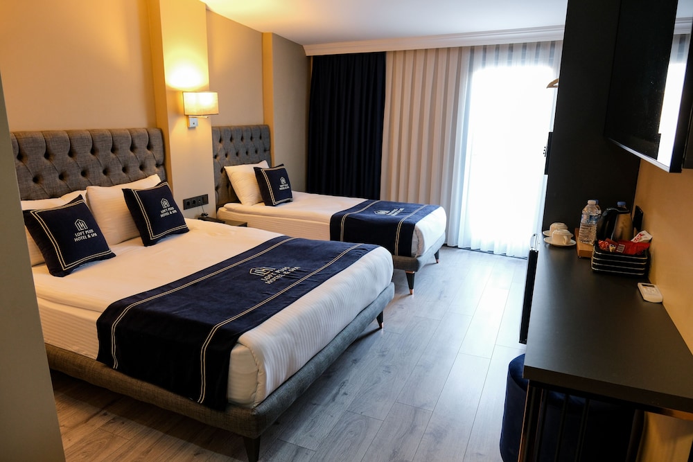 Loft Plus Hotel & Spa 8/24
