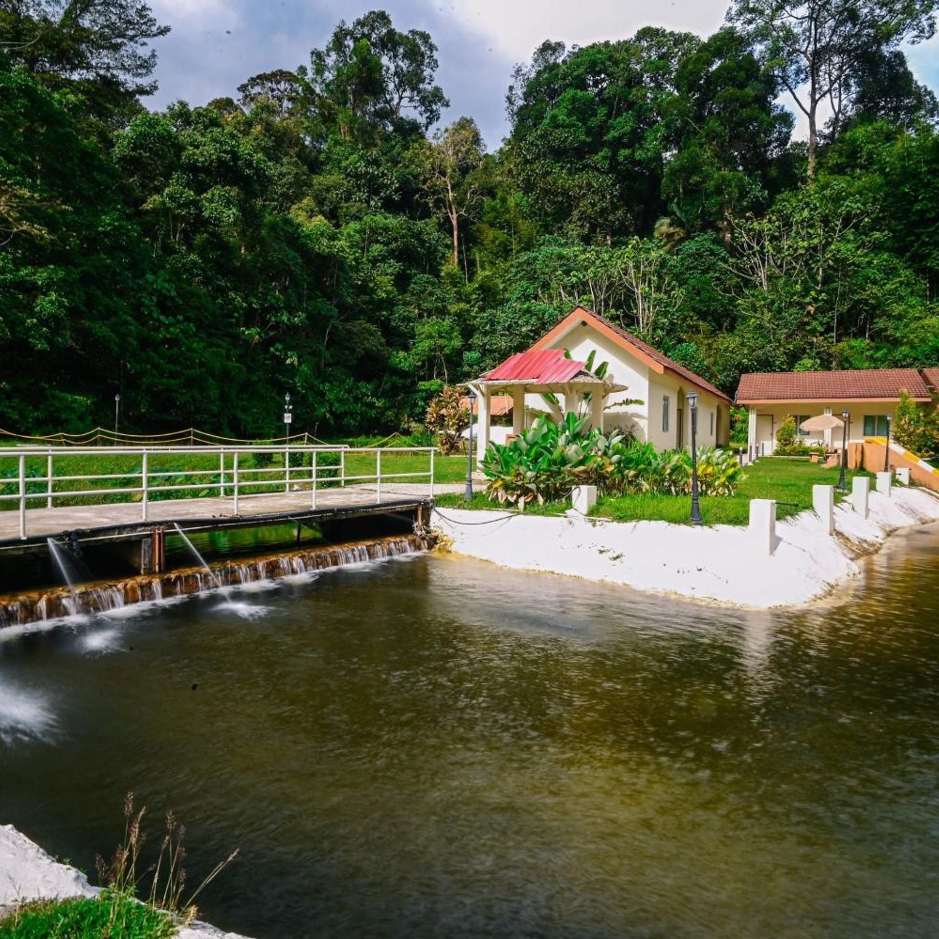LiLLA Rainforest Retreats 54/62