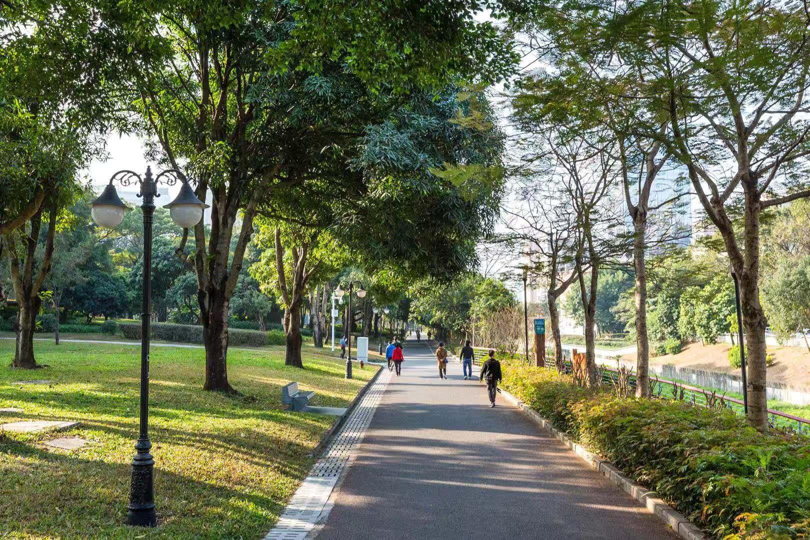 Hanting Hotel (Shenzhen Huaqiang Center Park) 20/28