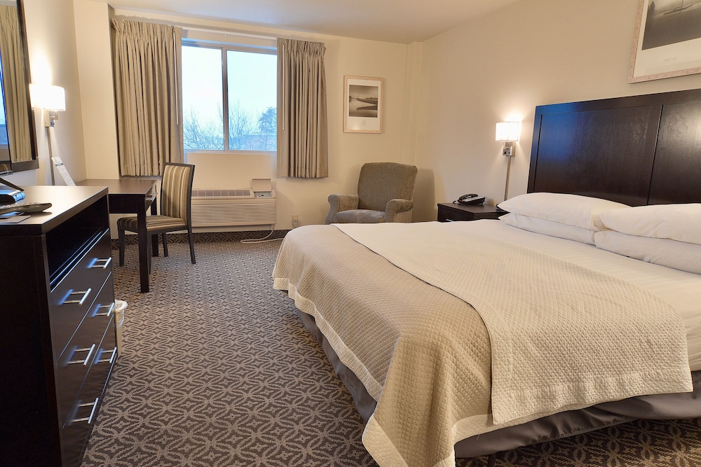 ROOM, KING BED