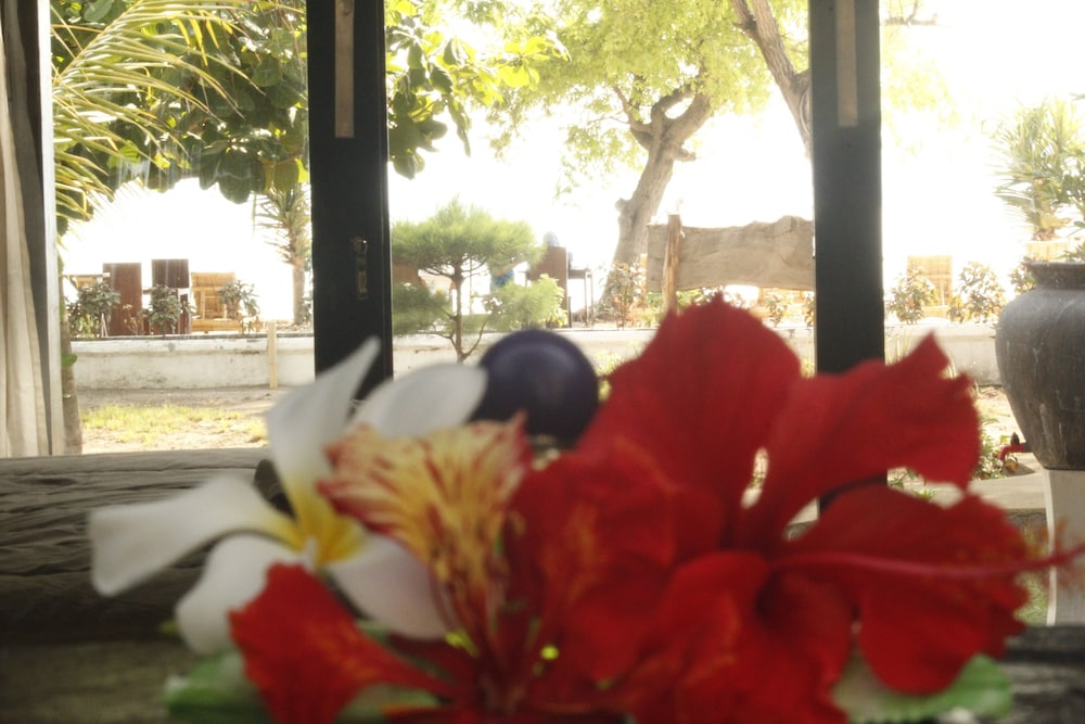 Kaluku Gili Resort 17/40