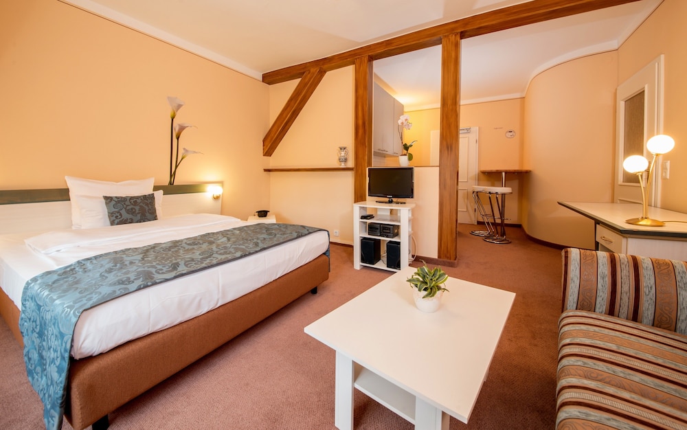 Aparthotel Villa Freisleben 13/50