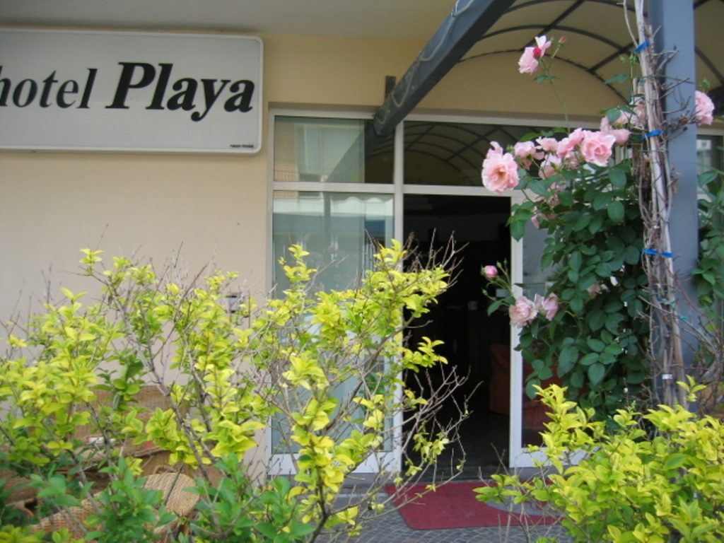 Hotel Playa (Rimini) 6/40