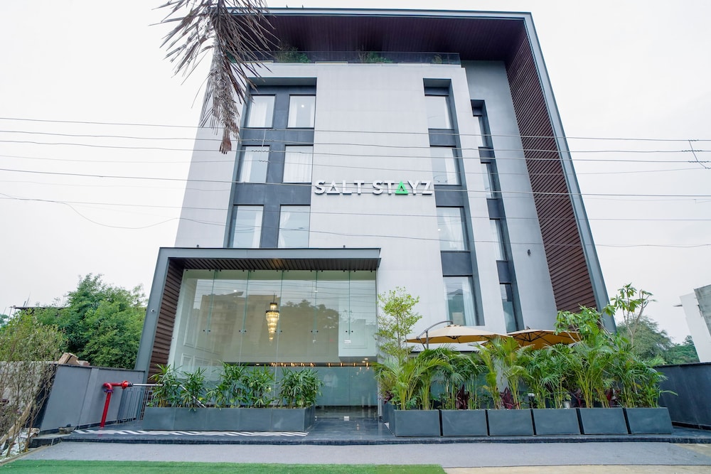 Saltstayz Basil - Near Golf Course Road 3/50