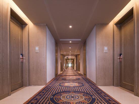 Vienna International Hotel (Haikou Old Town High Speed Railway Station) 34/58