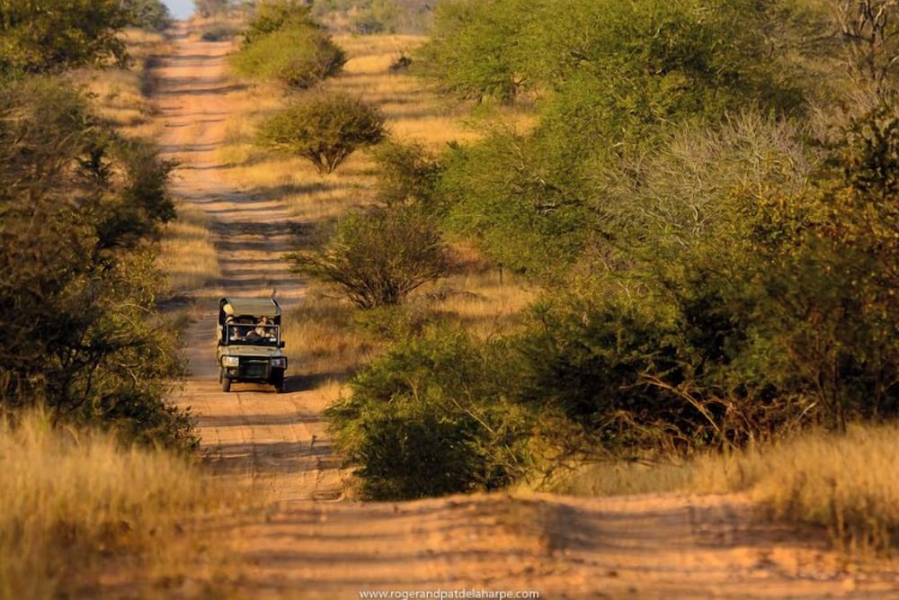 Rhino Walking Safaris 18/41