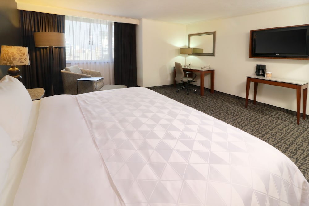 Holiday Inn Ciudad de Mexico Trade Center 21/80