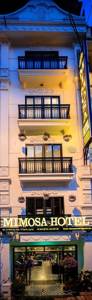 Sapa Mimosa酒店(Sapa Mimosa Hotel) 图片1