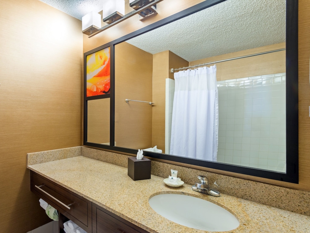 Crowne Plaza Dallas Near Galleria Addison 55/55