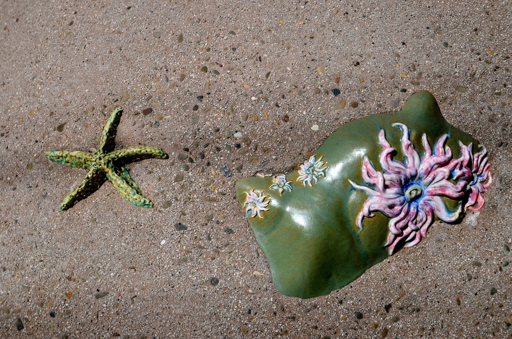 Ocean Pacific Lodge 31/40