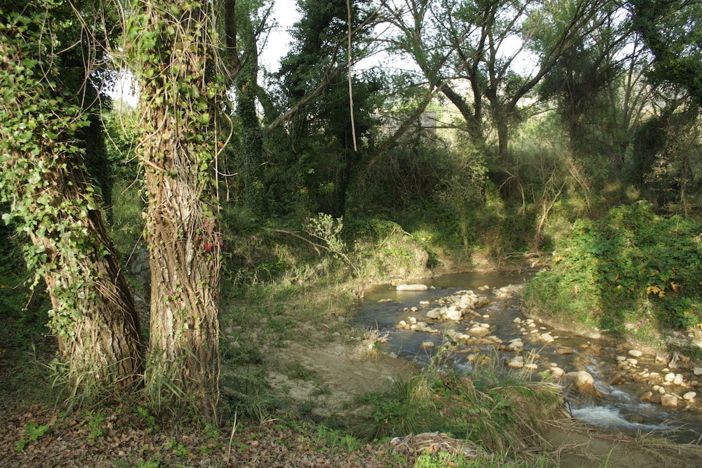surroundings