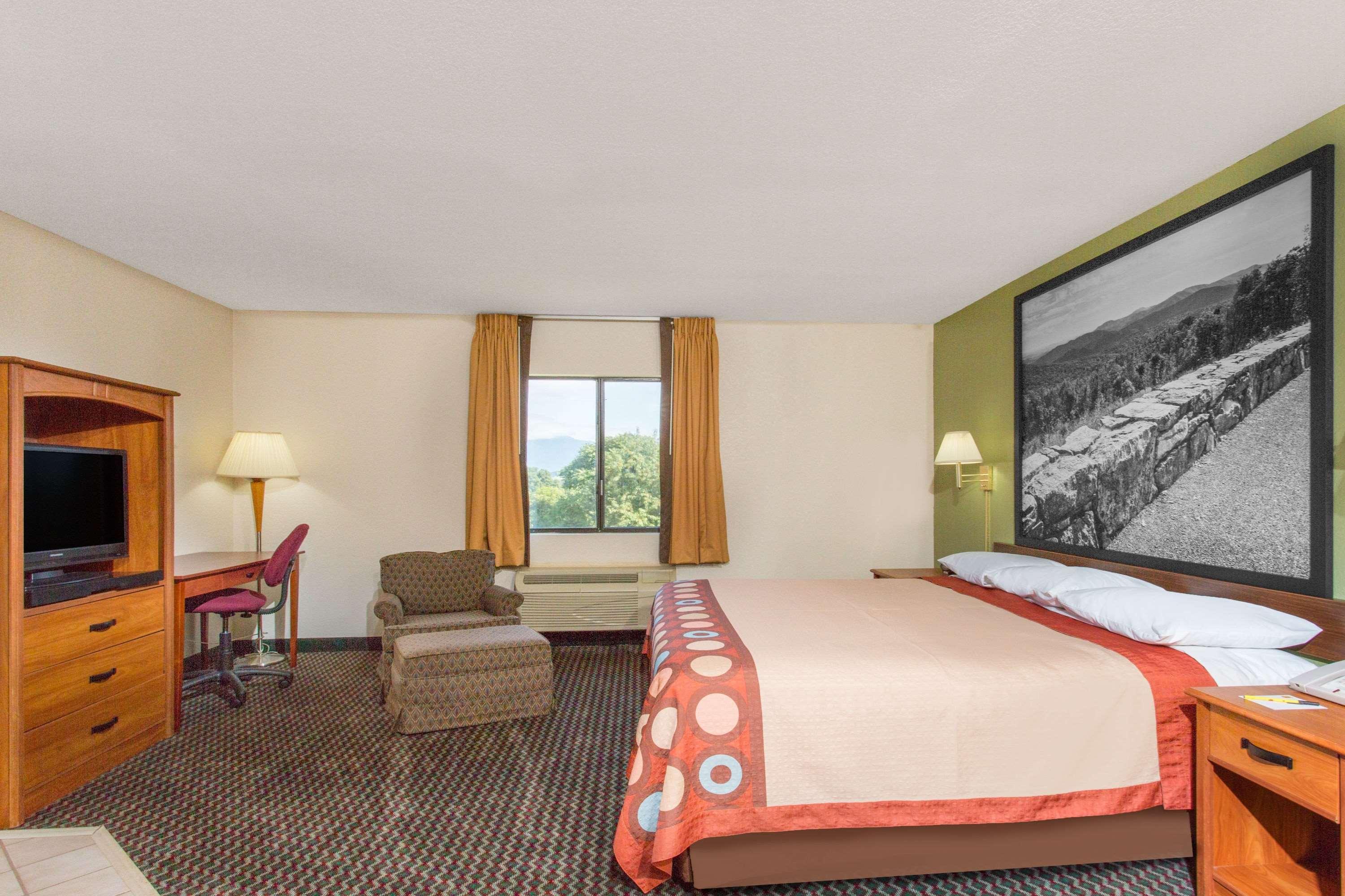 Suite, King Bed