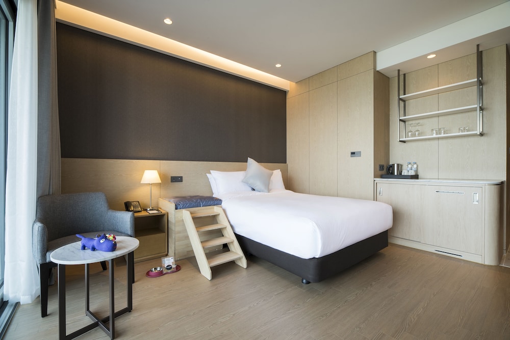 غرفة بسرير مزدوج يُسمح فيها بالحيوانات الأليفة، St. John's Hotel 3/5