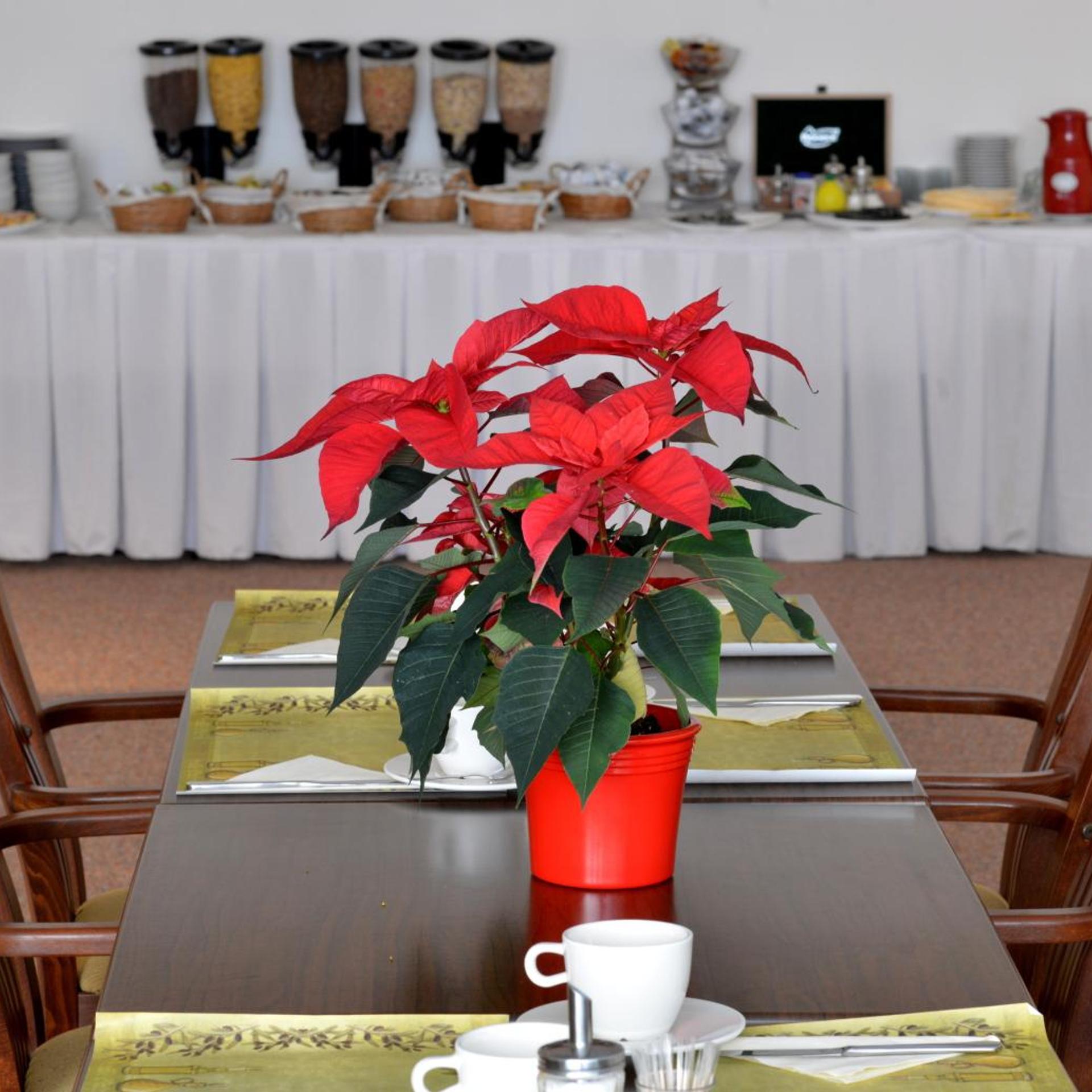 Hotel Dvorak 51/66