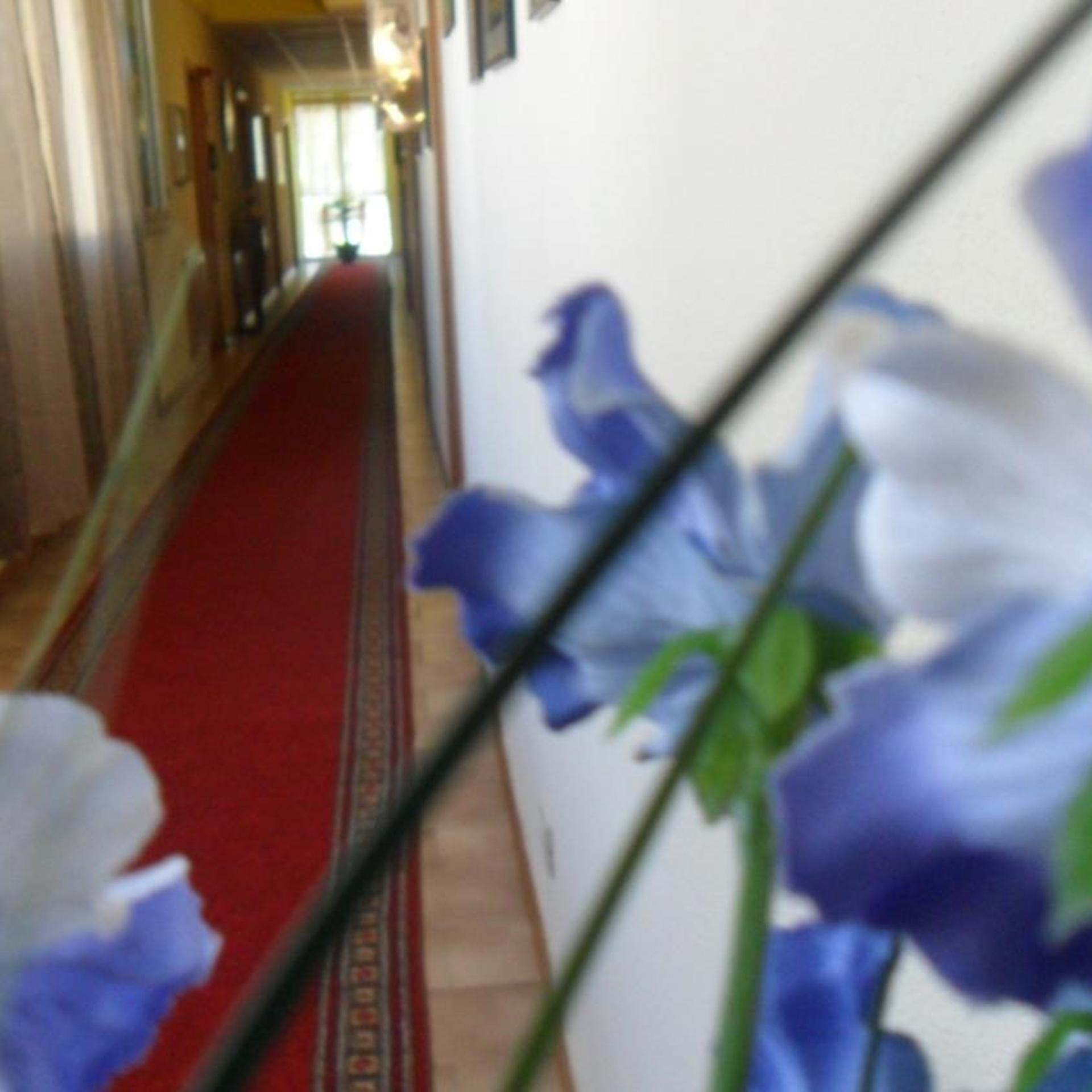 Nazionale Hotel 28/52