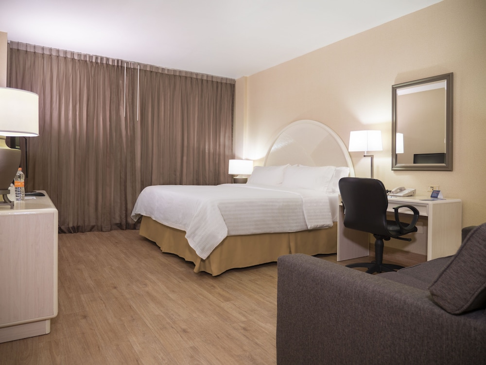 Holiday Inn Express Torreon 18/69