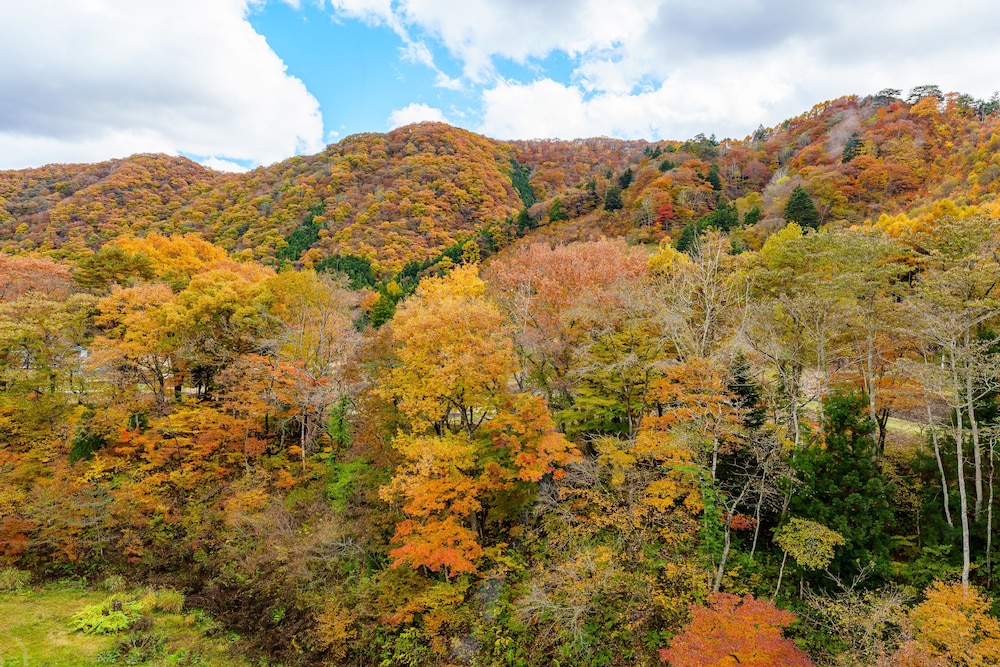 KAMENOI HOTEL NIKKO YUNISHIGAWA ALL-INCLUSIVE RESORT 65/67