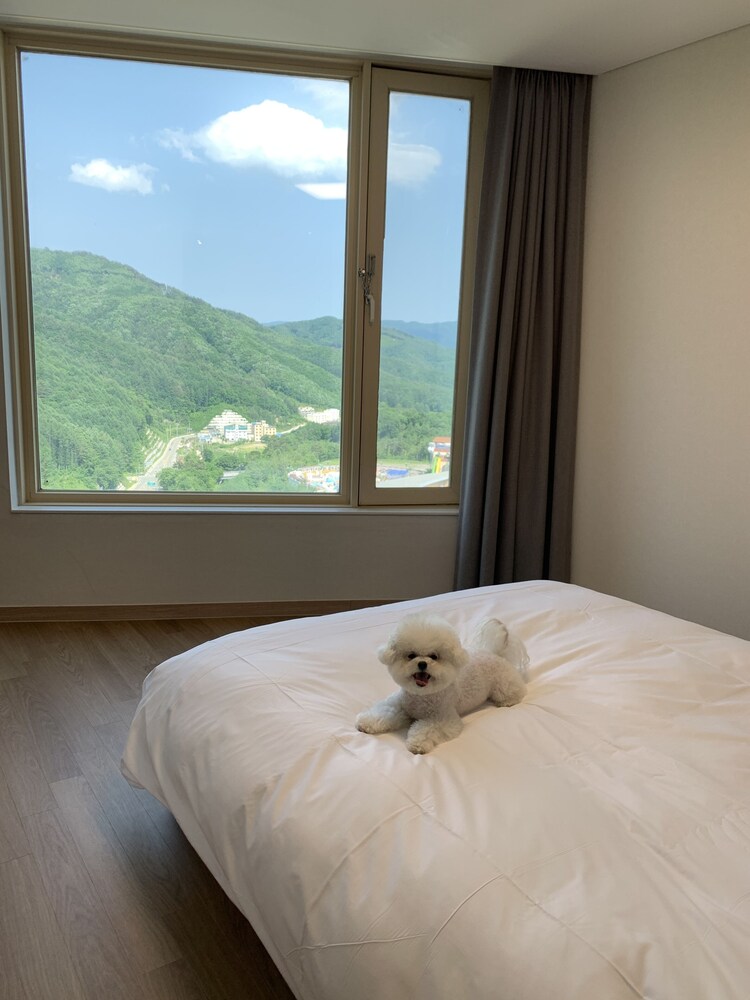 Phoenix Resort Pyeongchang 17/48