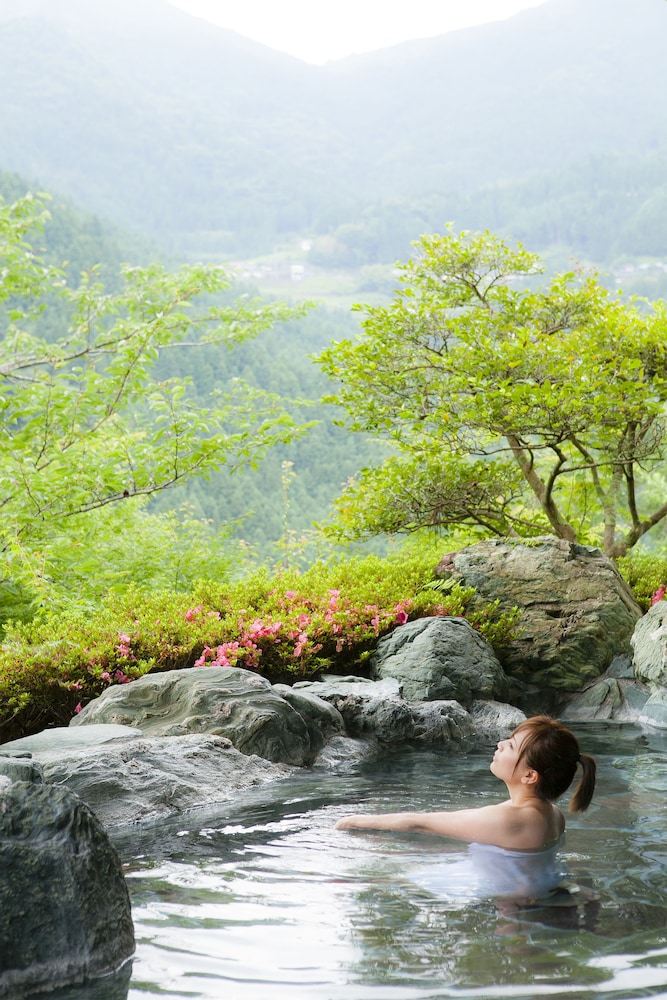 Shin Iya Onsen Hotel Kazurabashi 34/55