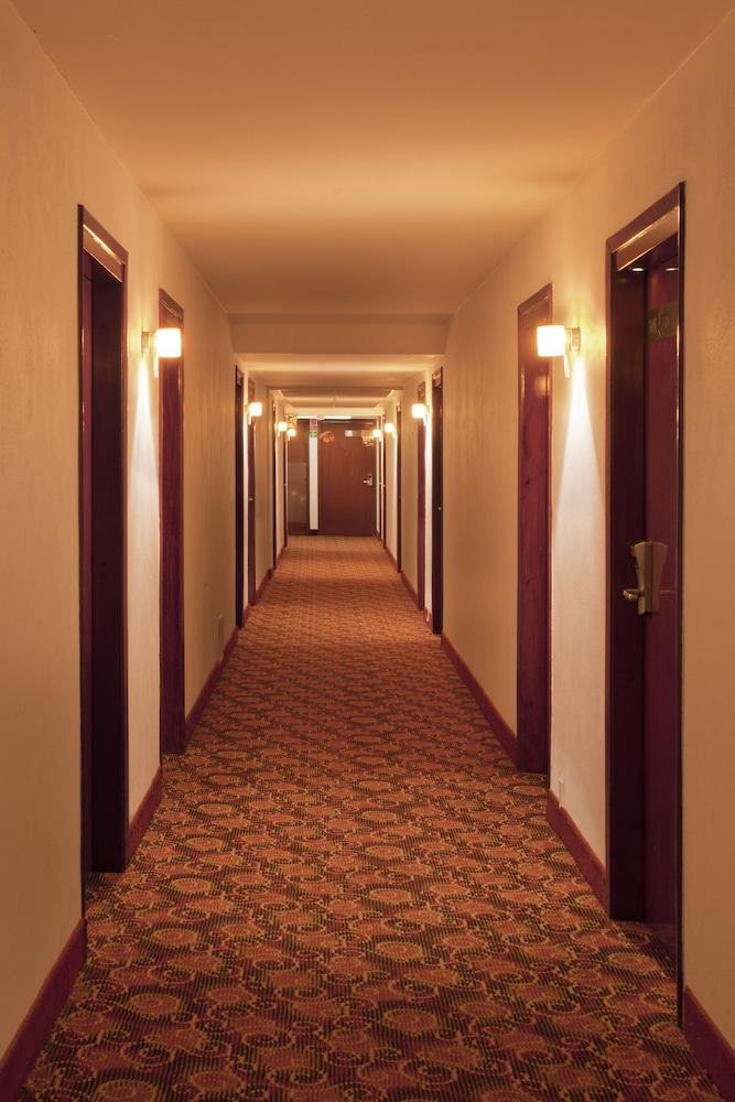 Hotel Stanza 3/65