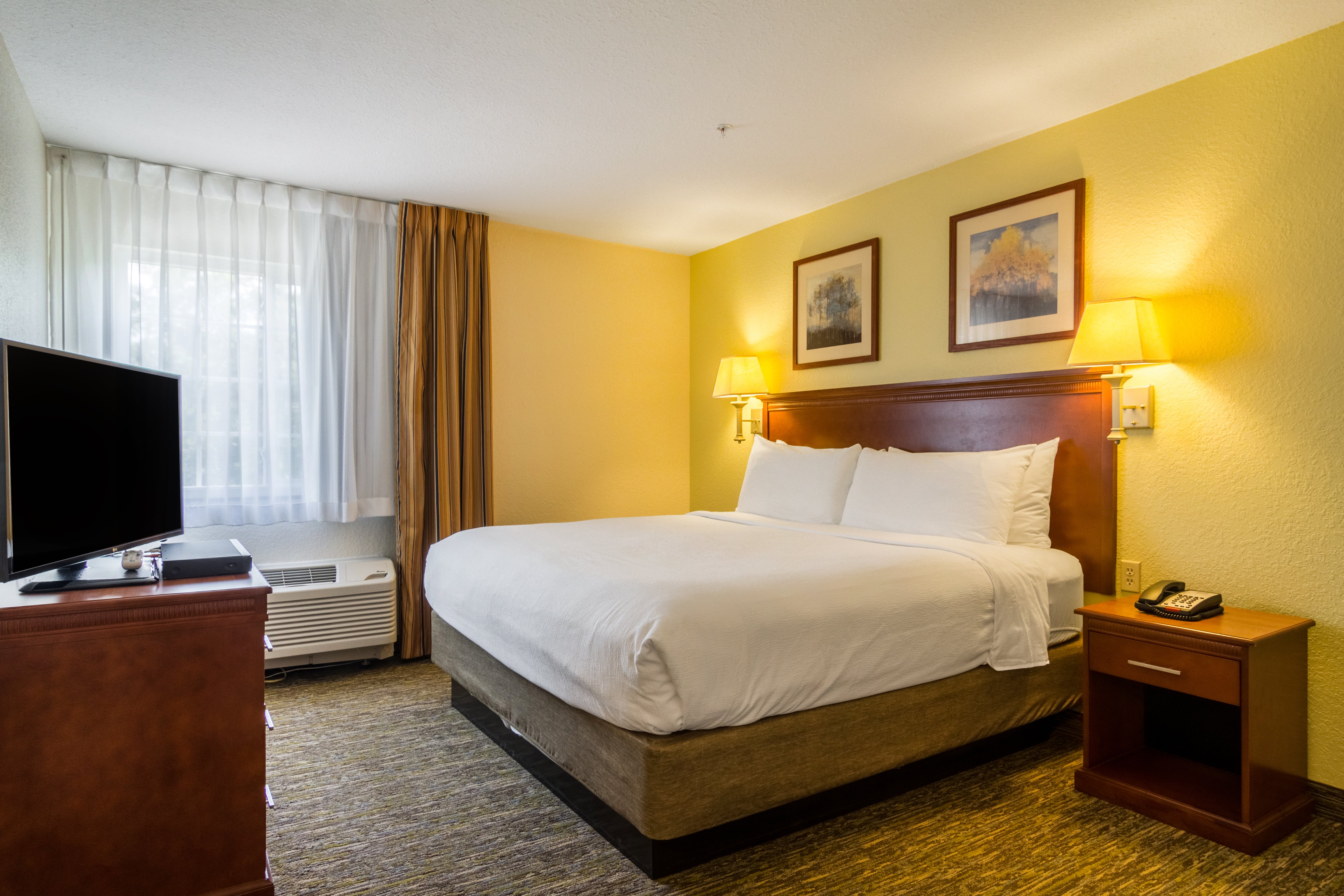 Studio, Suite, King Bed