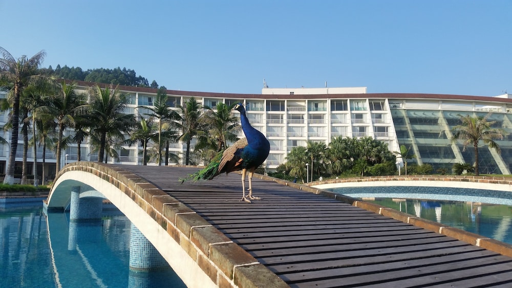 Tangla Dongguan 10/30