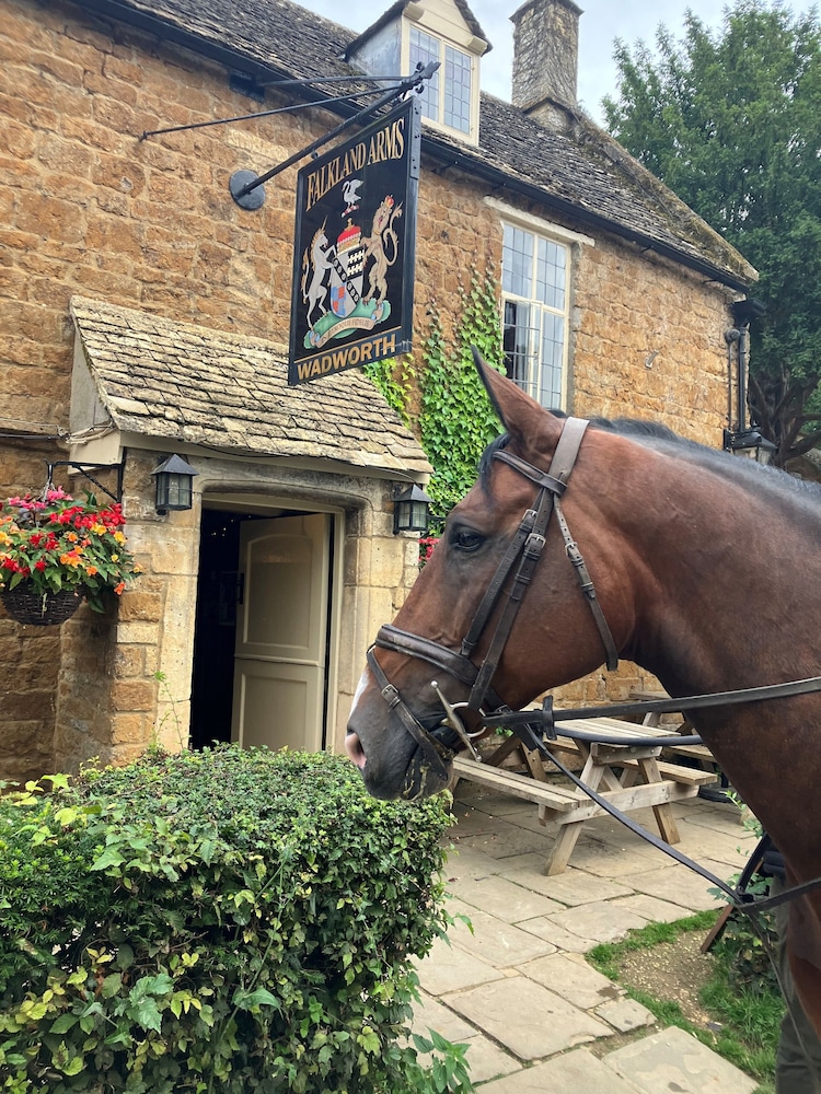 The Falkland Arms 46/50