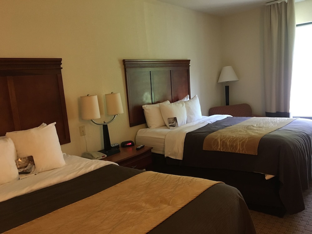 Comfort Inn & Suites Rogersville 15/37