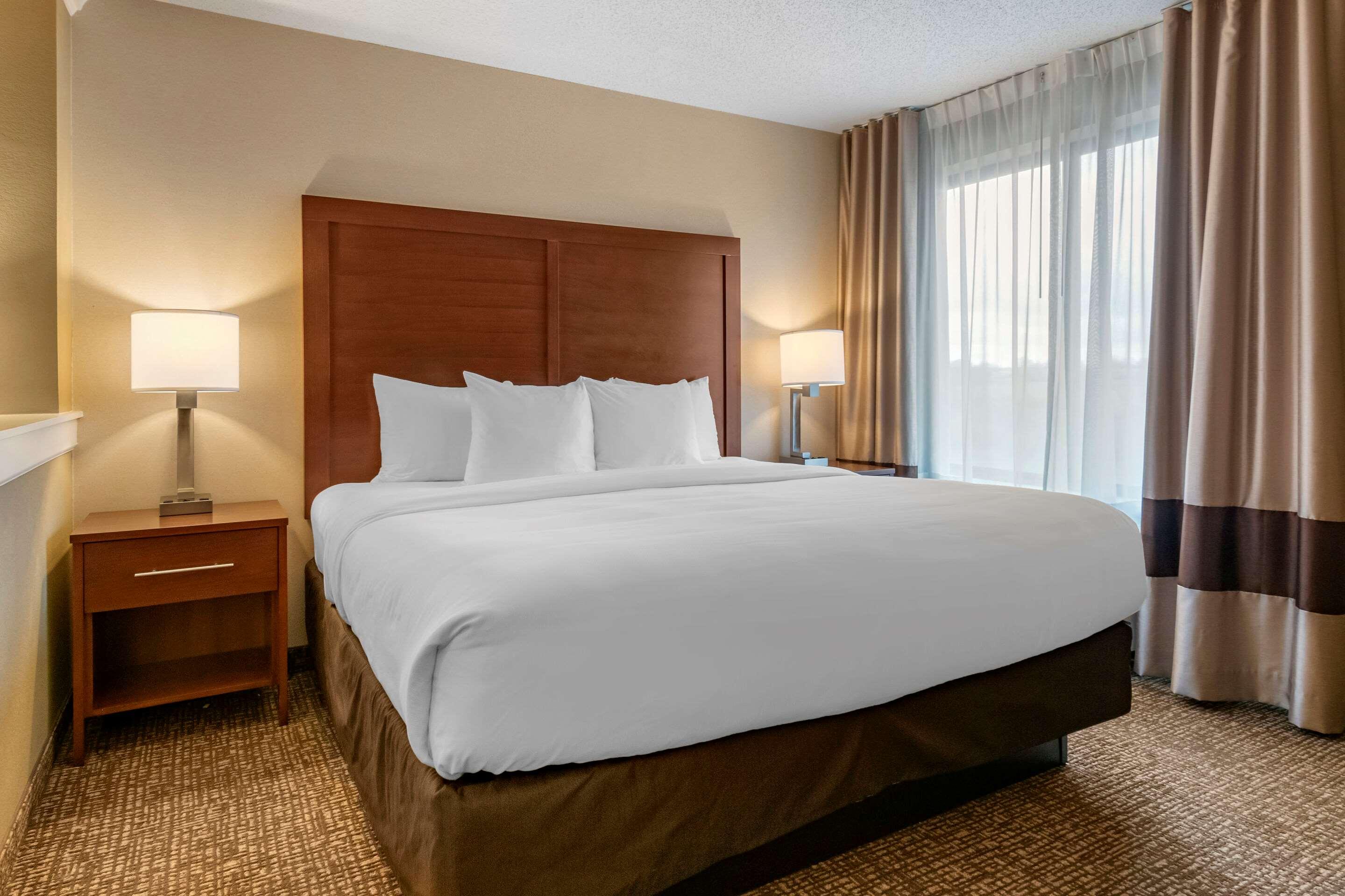 SUITE, KING BED