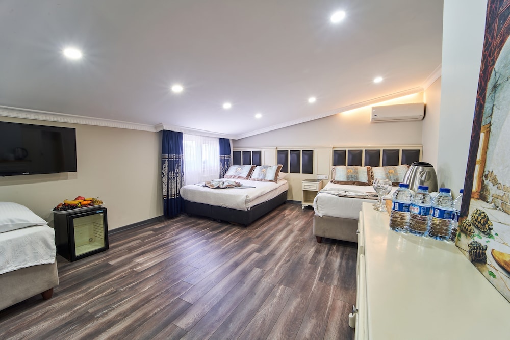 Istanbul Best Sirkeci Hotel and Spa 19/50