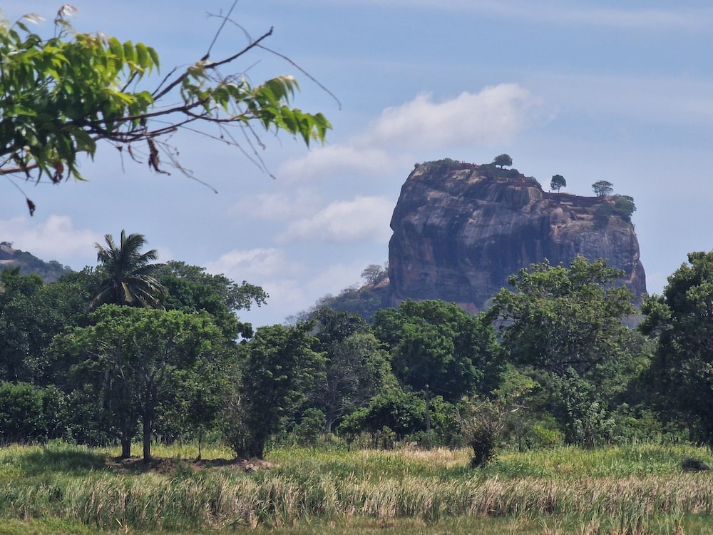 Rho Sigiriya 35/47