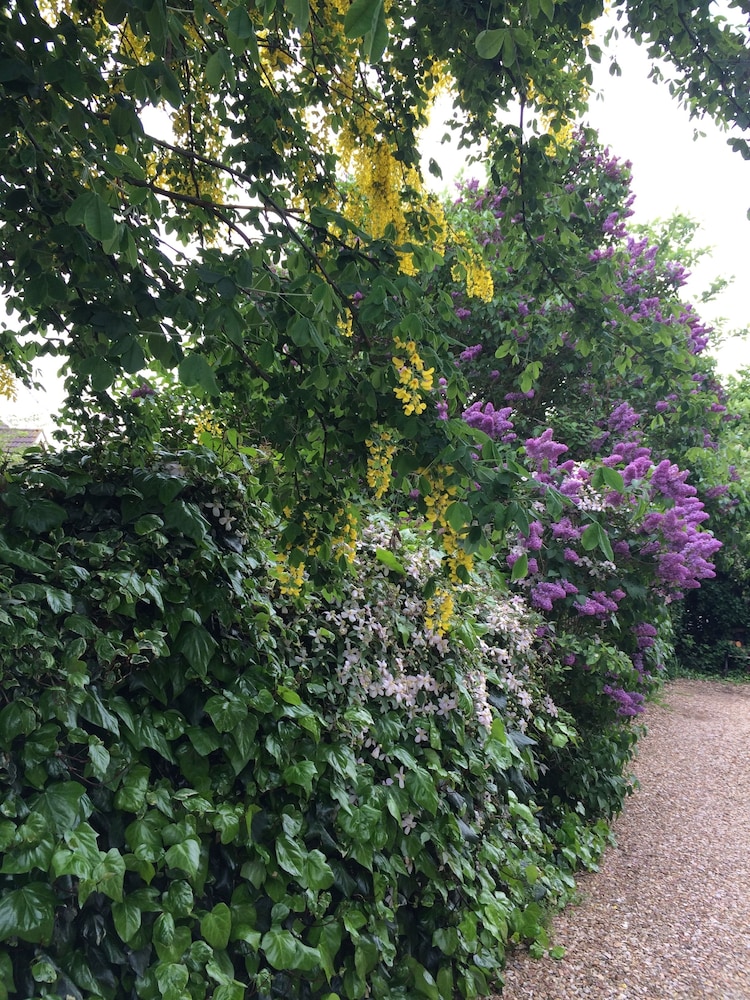 Pickmere Country Guest House 36/50
