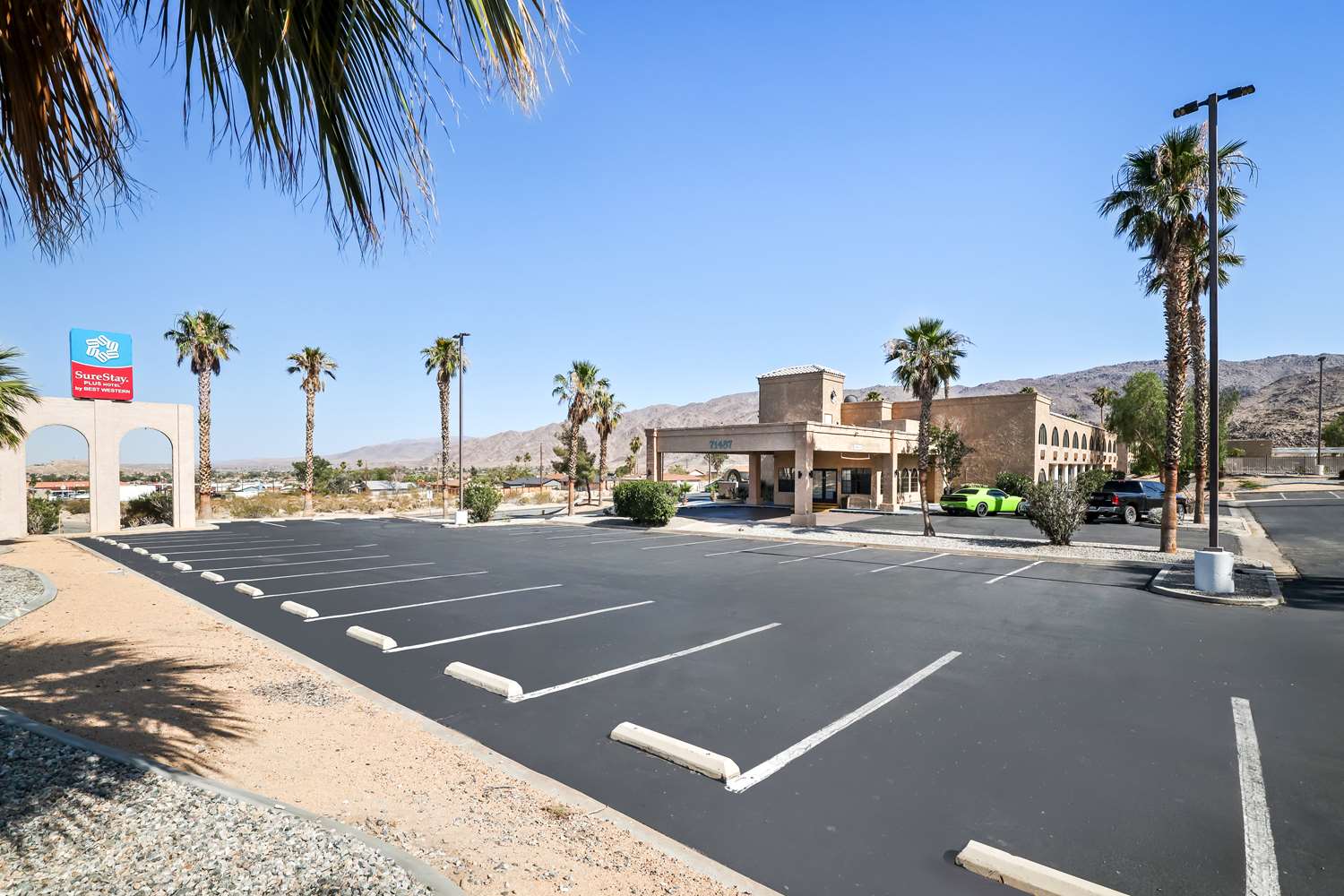 Twentynine Palms Joshua Tree 40/40