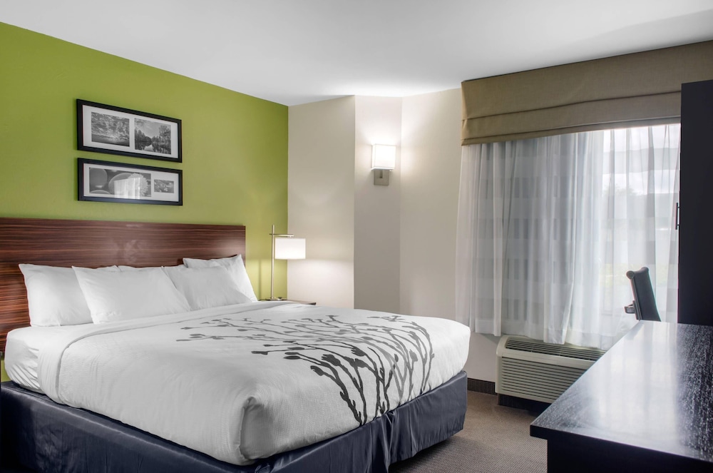 ROOM, KING BED, ACCESSIBLE