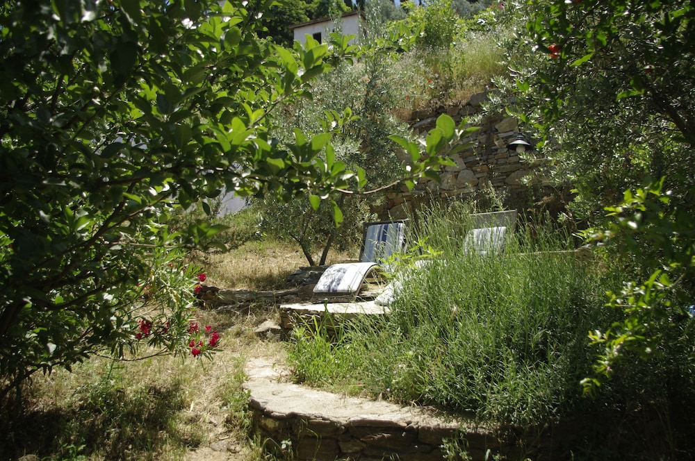 Terrace Houses Sirince - Fig, Olive and Grapevine 36/48