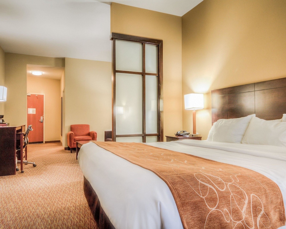 Comfort Suites Pecos 10/42