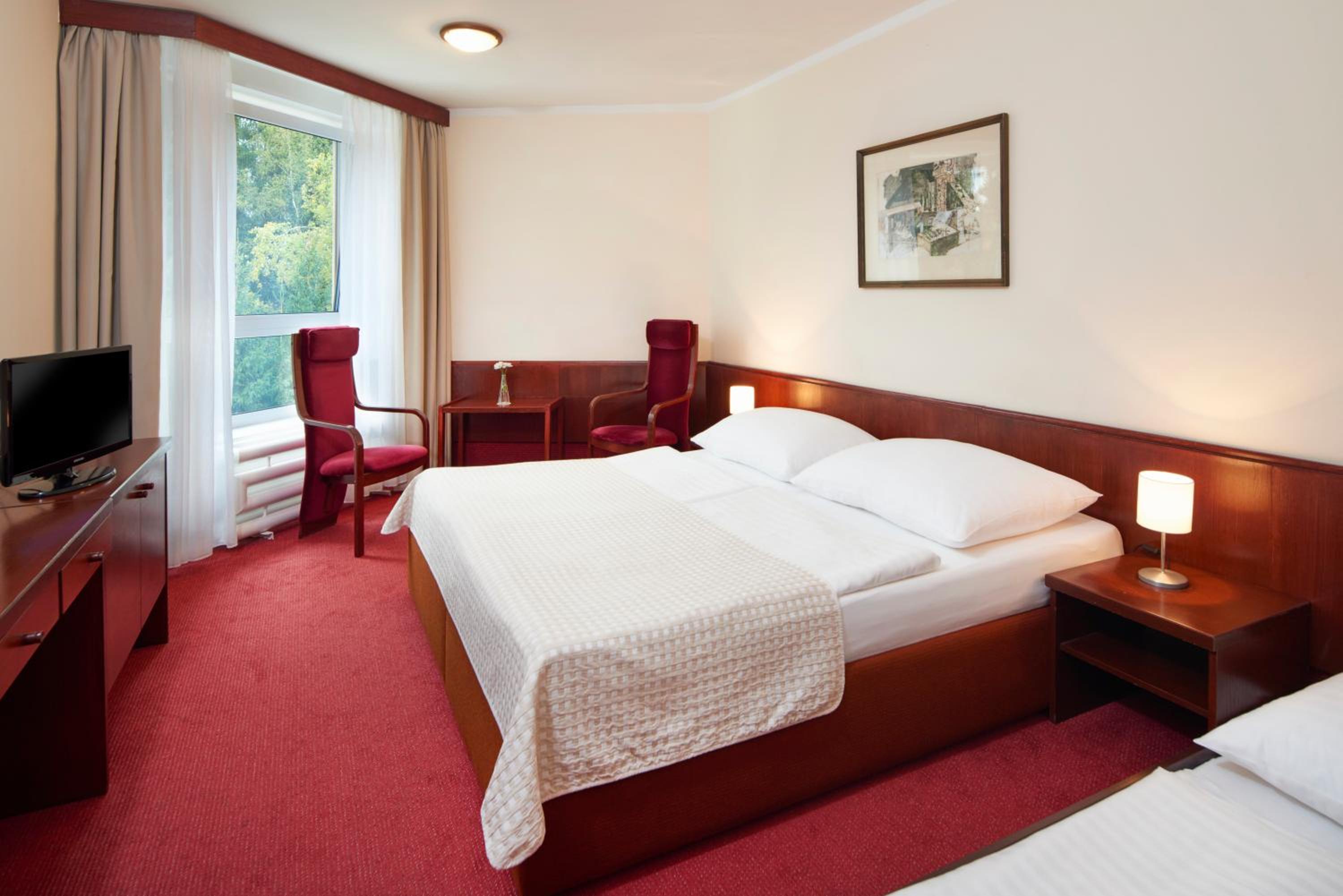 Economy, King Bed, Pool Access، Wellness Hotel Svornost 2/4