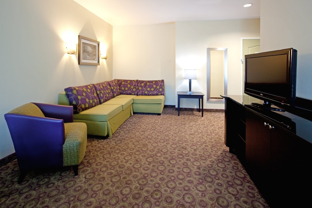 Holiday Inn Express & Suites Clemson - Univ Area 48/82