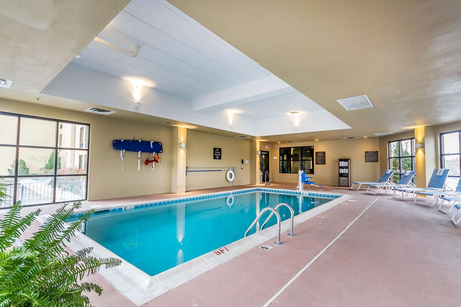 Comfort Inn & Suites Lexington - Hamburg I-75 19/32