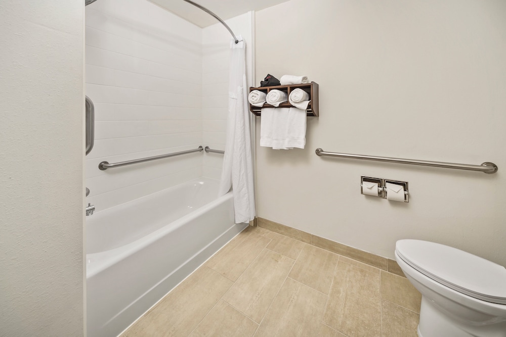 Holiday Inn Express Chicago Nw-Vernon Hills 46/50