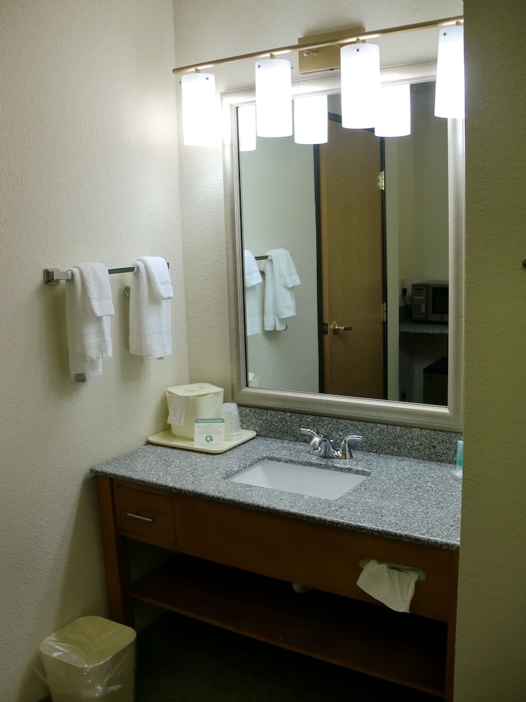 غرفة قياسية بسرير كينج، Comfort Inn Birch Run - Frankenmuth 2/2