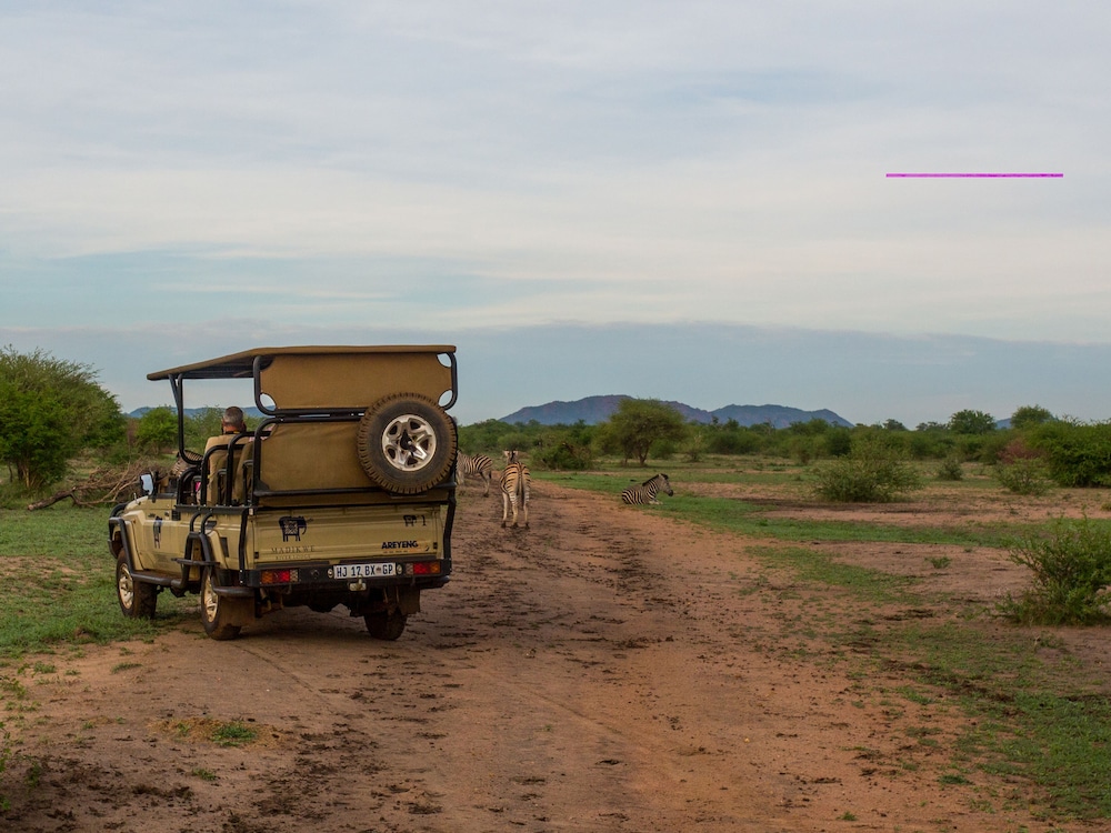 MADIKWE RIVER LODGE 29/42