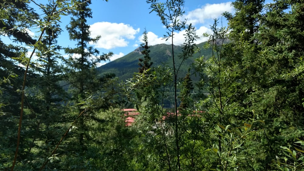 Denali Crow s Nest Cabins 40/48