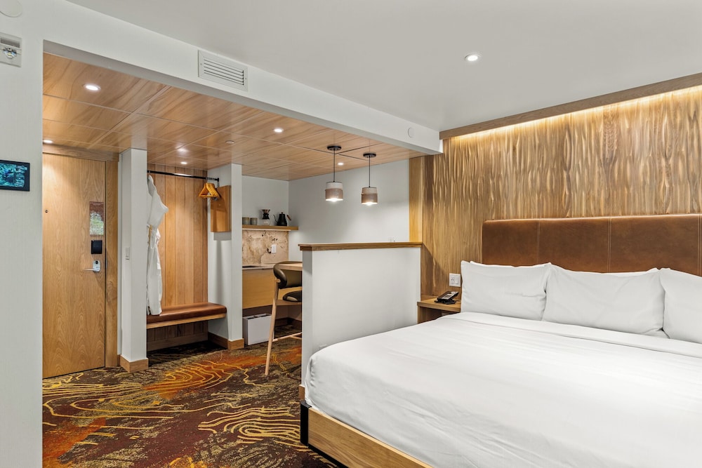 Otter Hotel 17/49